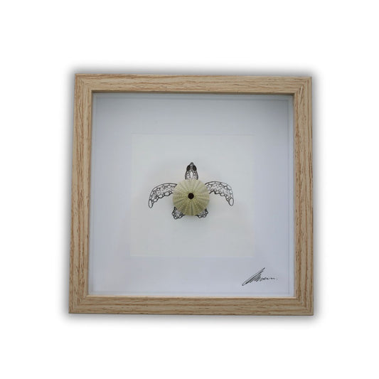 Turtle Sea Urchin Solo "Just Keep Swimming" (17x17cm Tan Shadow Box Frame, Square)