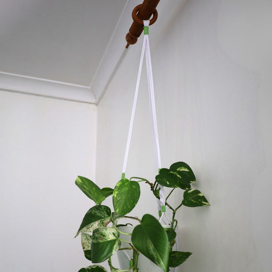 Macramé Plant Hanger "Hang In There" (Hand Knotted) White & Light Green