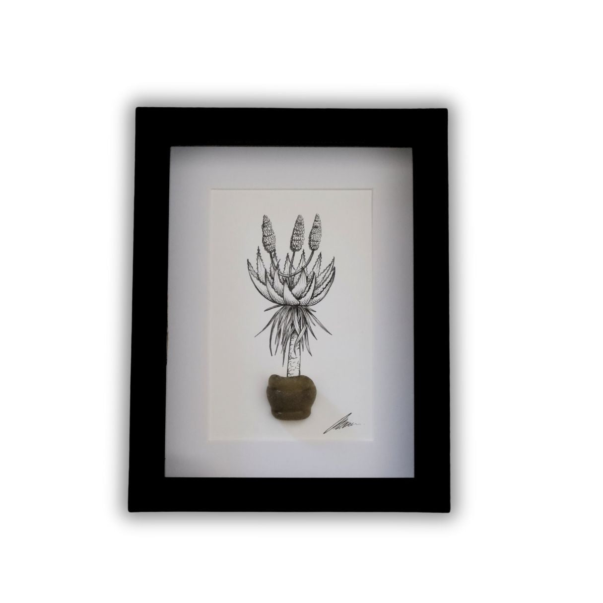 Blooming Aloe & Sea Glass "Aloe Aloe" (A5 Black Shadow Box Frame, Vertical)