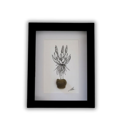 Blooming Aloe & Sea Glass "Aloe Aloe" (A5 Black Shadow Box Frame, Vertical)