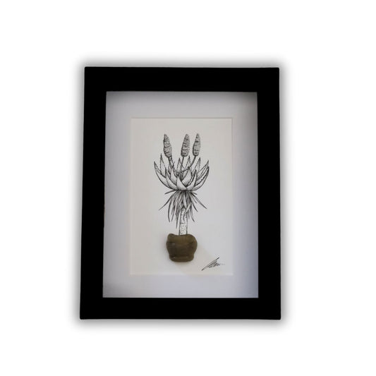 Blooming Aloe & Sea Glass "Aloe Aloe" (A5 Black Shadow Box Frame, Vertical)