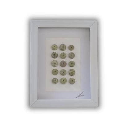 Medium Sea Urchin Collection "No Two Treasures Tell The Same Story" (A5 White Shadow Box Frame, Vertical)