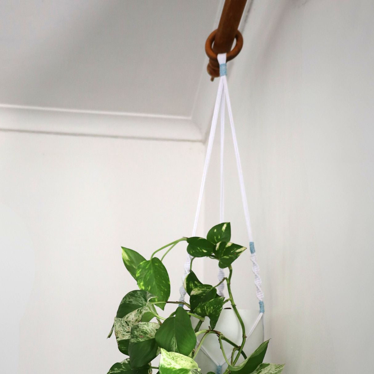 Macramé Plant Hanger "Hang In There" (Hand Knotted) White & Blue