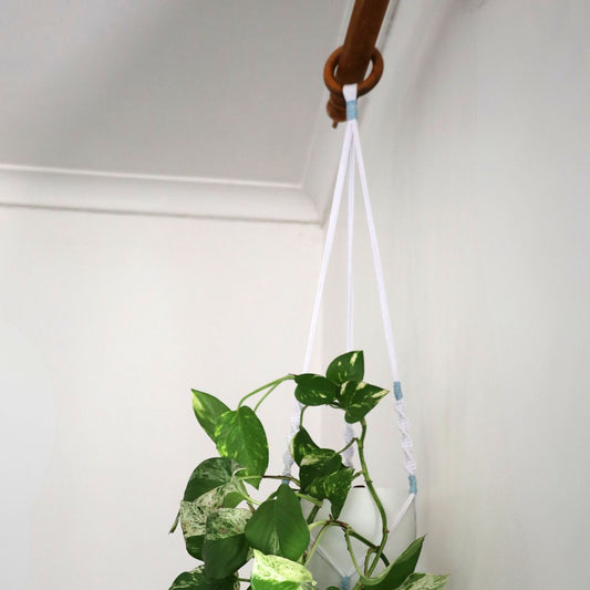 Macramé Plant Hanger "Hang In There" (Hand Knotted) White & Blue