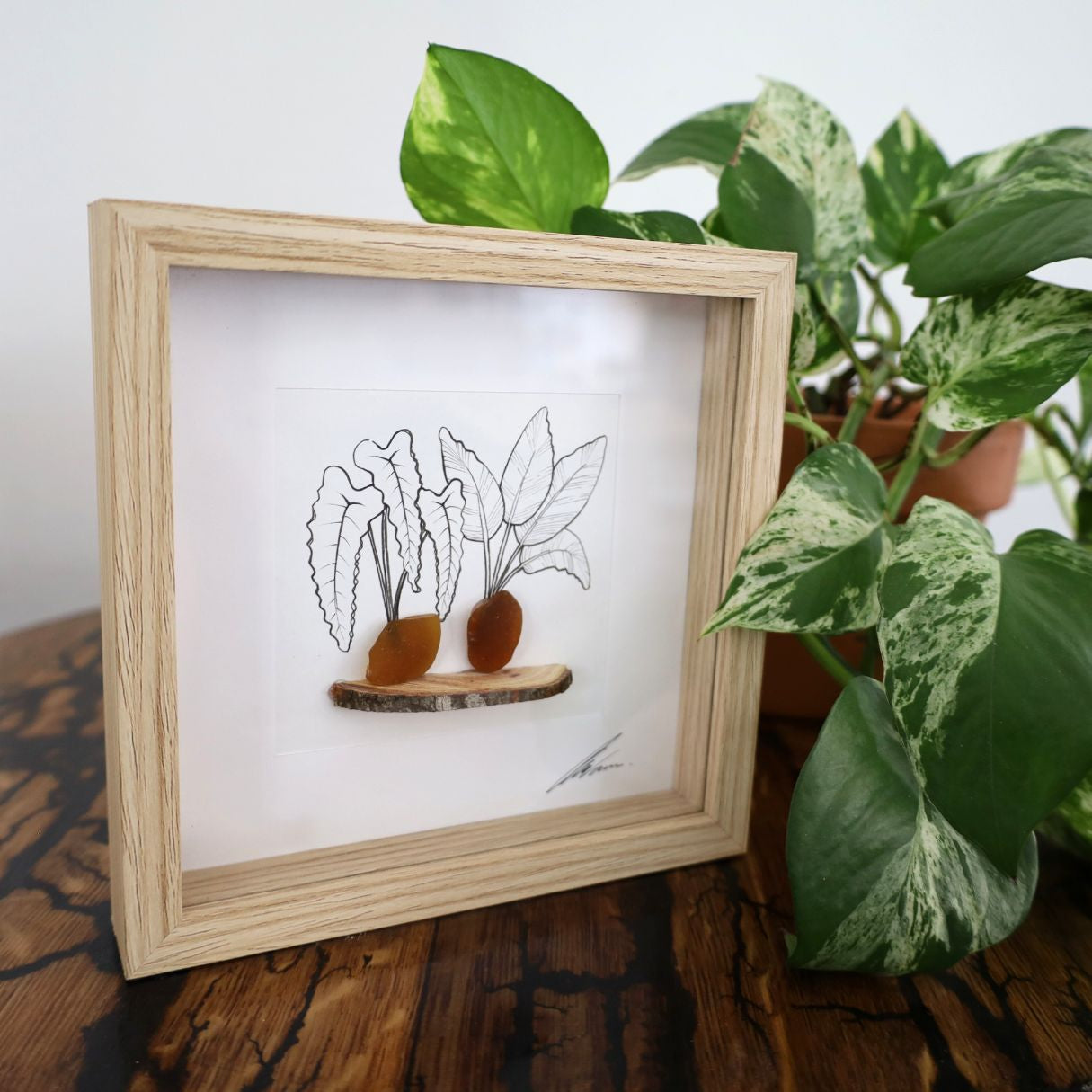 Plants, Sea Glass Pots & Bark Shelf "There’s No Such Thing As Too Many Plants" (17x17cm Tan Shadow Box Frame, Square)