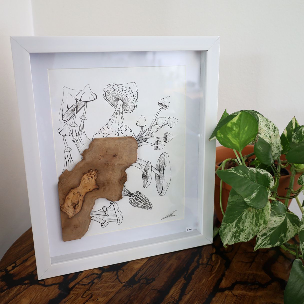 Mushroom & Wild Olive Burst "Fantastic Fungi" (A4 White Shadow Box Frame)
