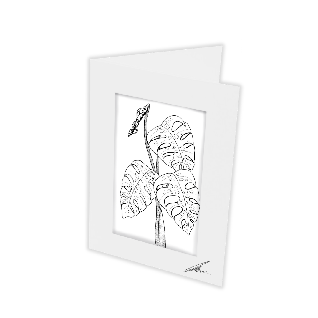 Colour In Gift Card “Colour Me Curious" (Monstera Solo)
