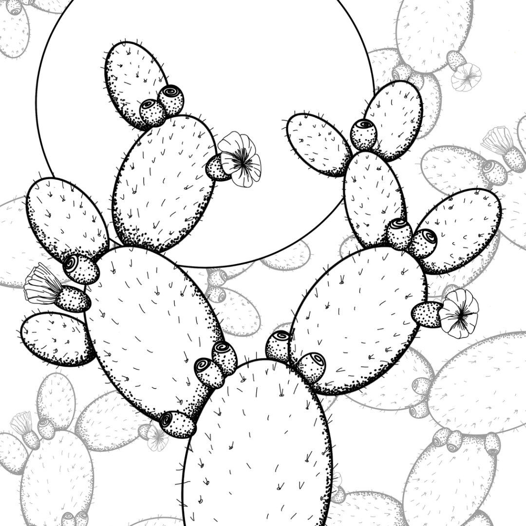 Colour In Gift Card “Colour Me Curious" (Prickly Pear Patterned Background)