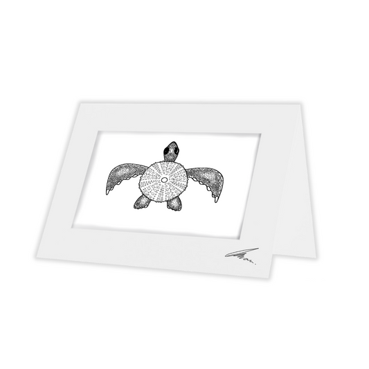 Colour In Gift Card “Colour Me Curious" (Solo Turtle)