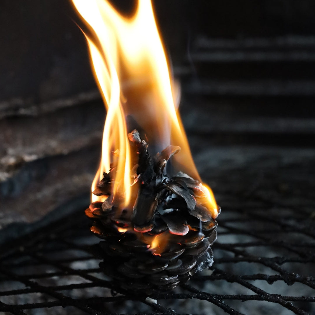 Pinecone Fire Lighter Pack “Baby Light My Fire” (Hand Made)