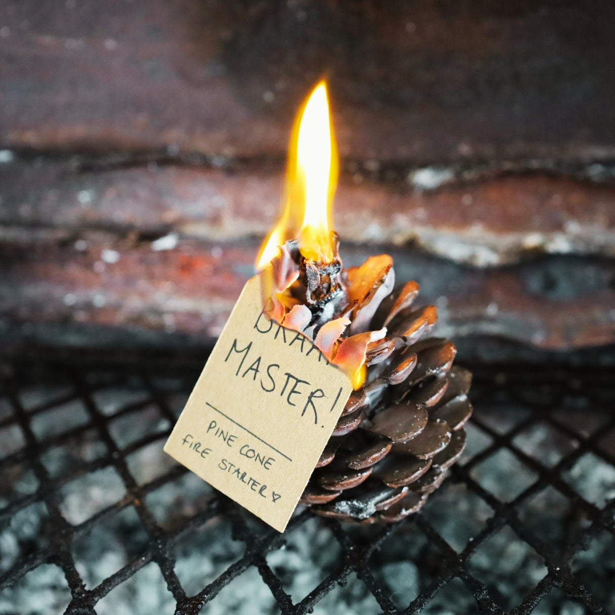 Pinecone Fire Lighter Pack “Baby Light My Fire” (Hand Made)