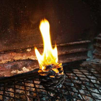 Pinecone Fire Lighter Pack “Baby Light My Fire” (Hand Made)